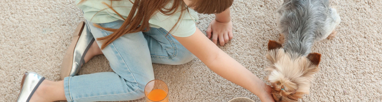 Anderson Tuftex Carpet | Carpet Empire Plus