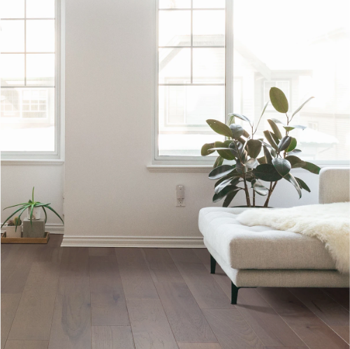 Trim & Casings-5 Trim & Casings | Carpet Empire Plus